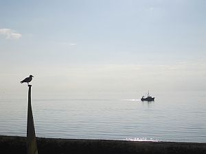 Sicht vom Balkon